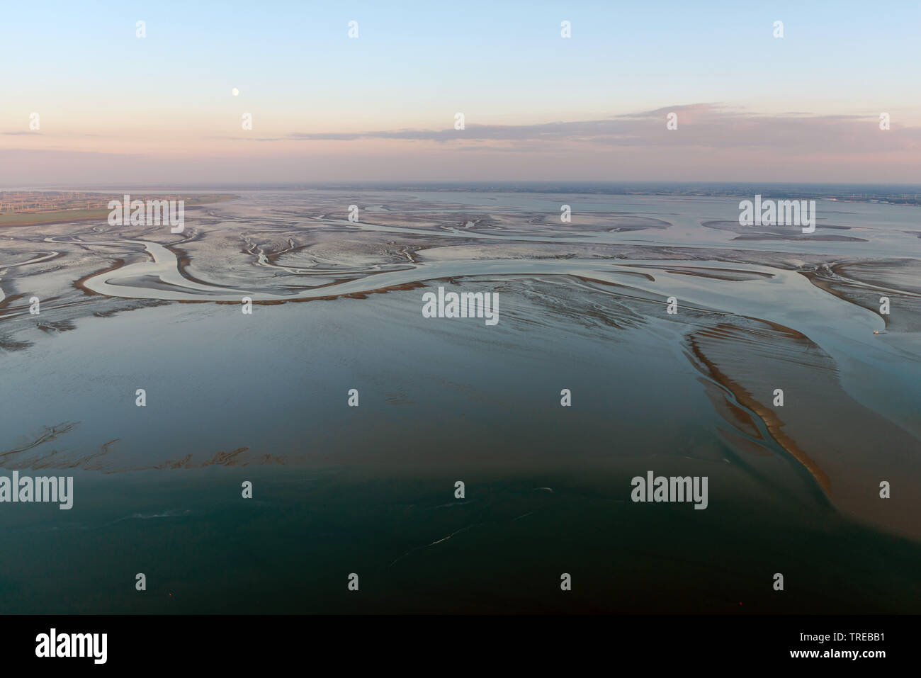 Vista aerea del mare di Wadden a marea di declino, Germania, Schleswig-Holstein, Schleswig-Holstein il Wadden Sea National Park Foto Stock