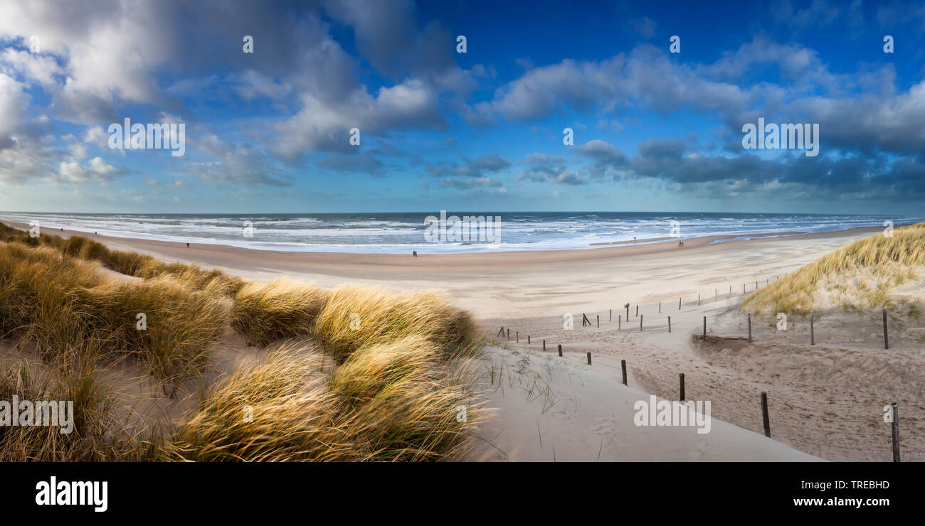 Vista mare da dune Olandese, Paesi Bassi, South Holland, Lopikerwaard Foto Stock