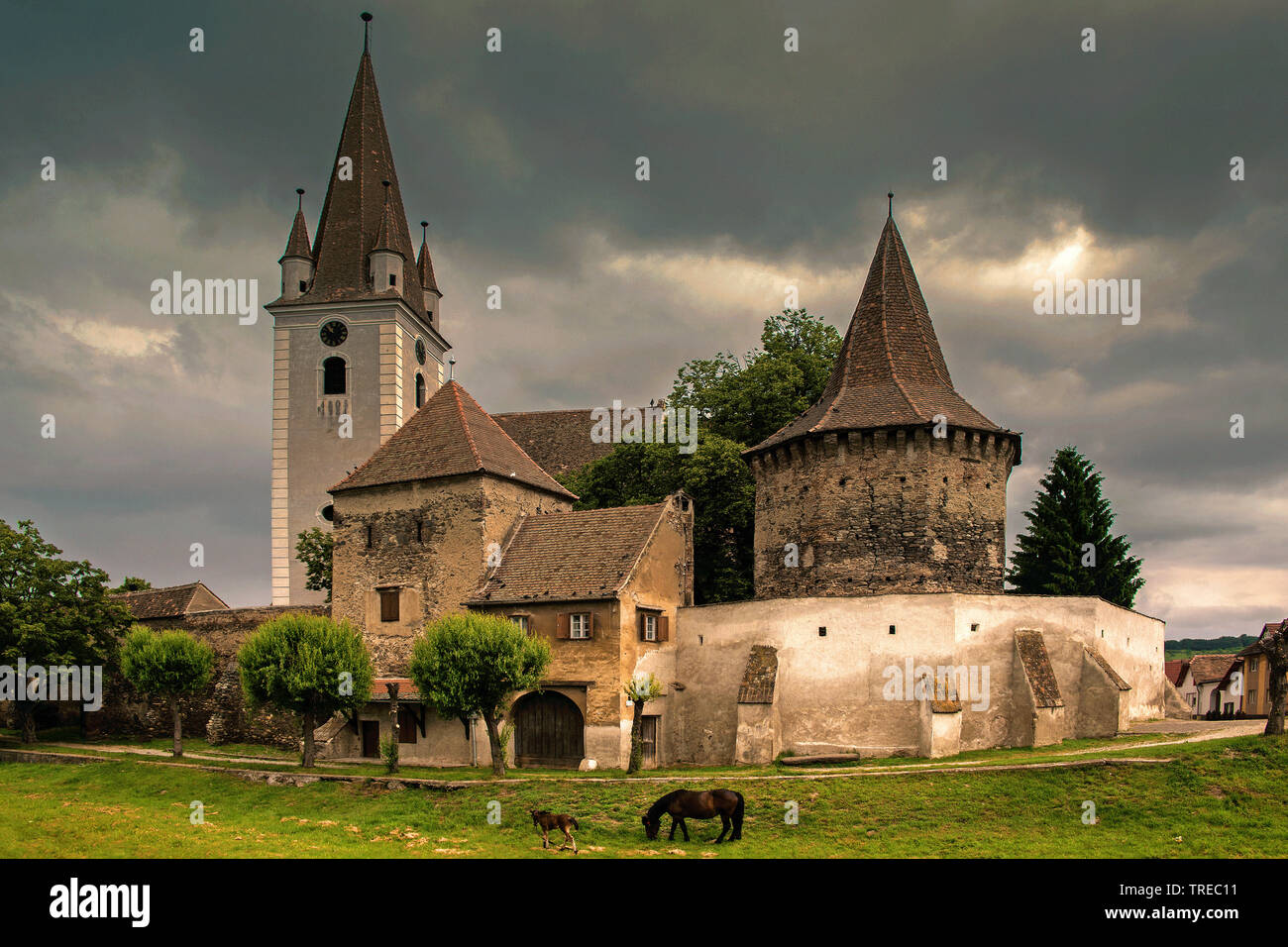 Chiesa fortificata Grossau, Romania, Sibiu Foto Stock