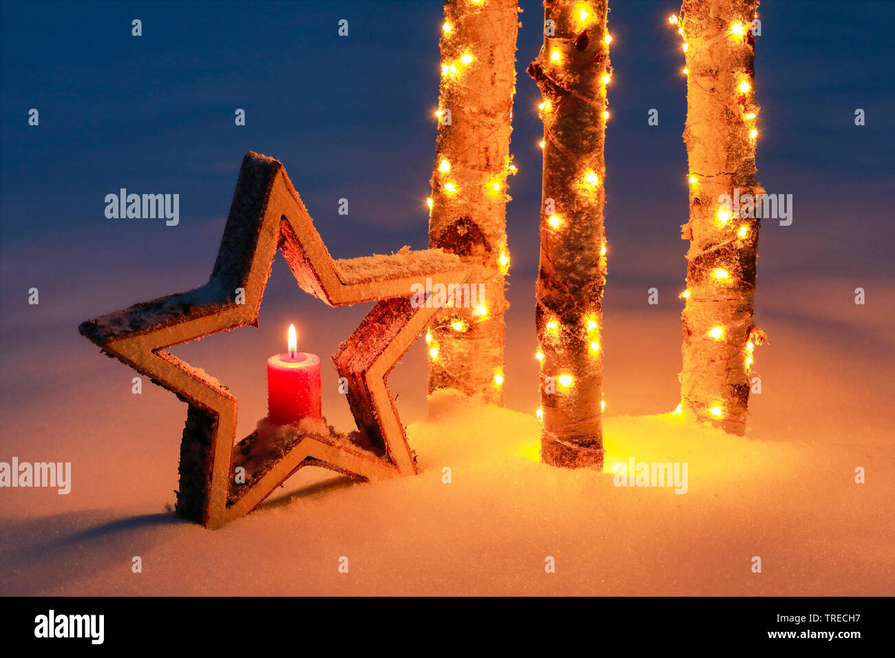 La stella di legno e illuminato in tronchi di betulla in snow, Svizzera Foto Stock