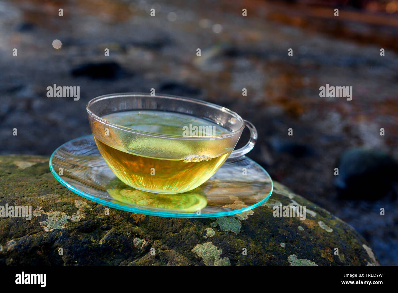 Il tè fatto da foglie fresche di ortica, chickweed e goosegrass, Germania Foto Stock