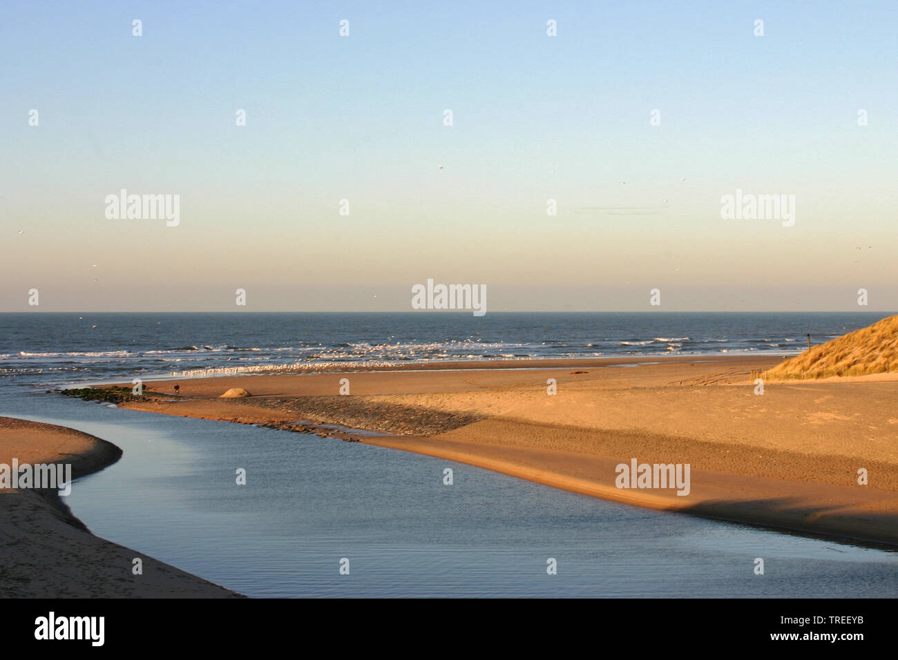Scarica alla spiaggia del Mare del Nord, Paesi Bassi Katwijk Foto Stock