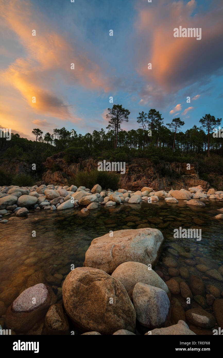 Solenzara brook nel bagliore di sera, Francia, Corsica Foto Stock