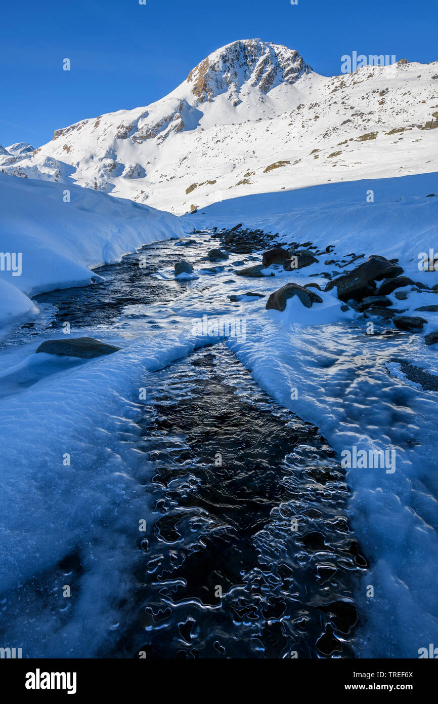 Icy creek in Val Martello, Italia, Alto Adige, Val Venosta Foto Stock