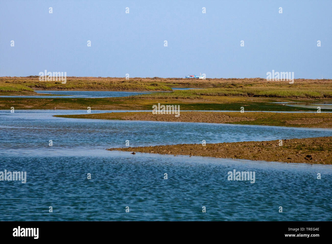 Ria Formosa lagoon, Portogallo, Parque Natural da Ria Formosa Foto Stock