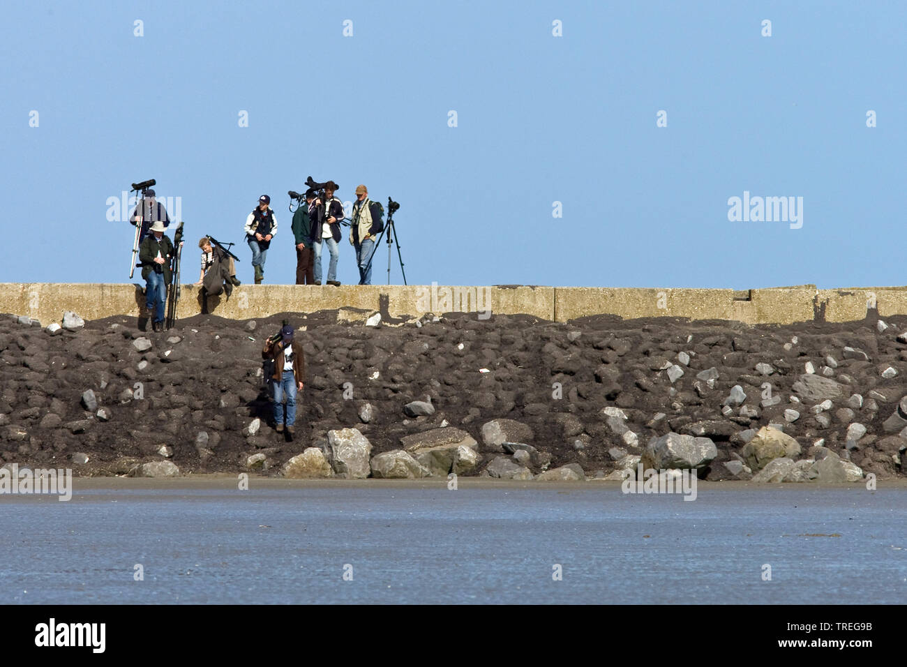 Gli amanti del birdwatching a IJmuiden, Paesi Bassi Foto Stock