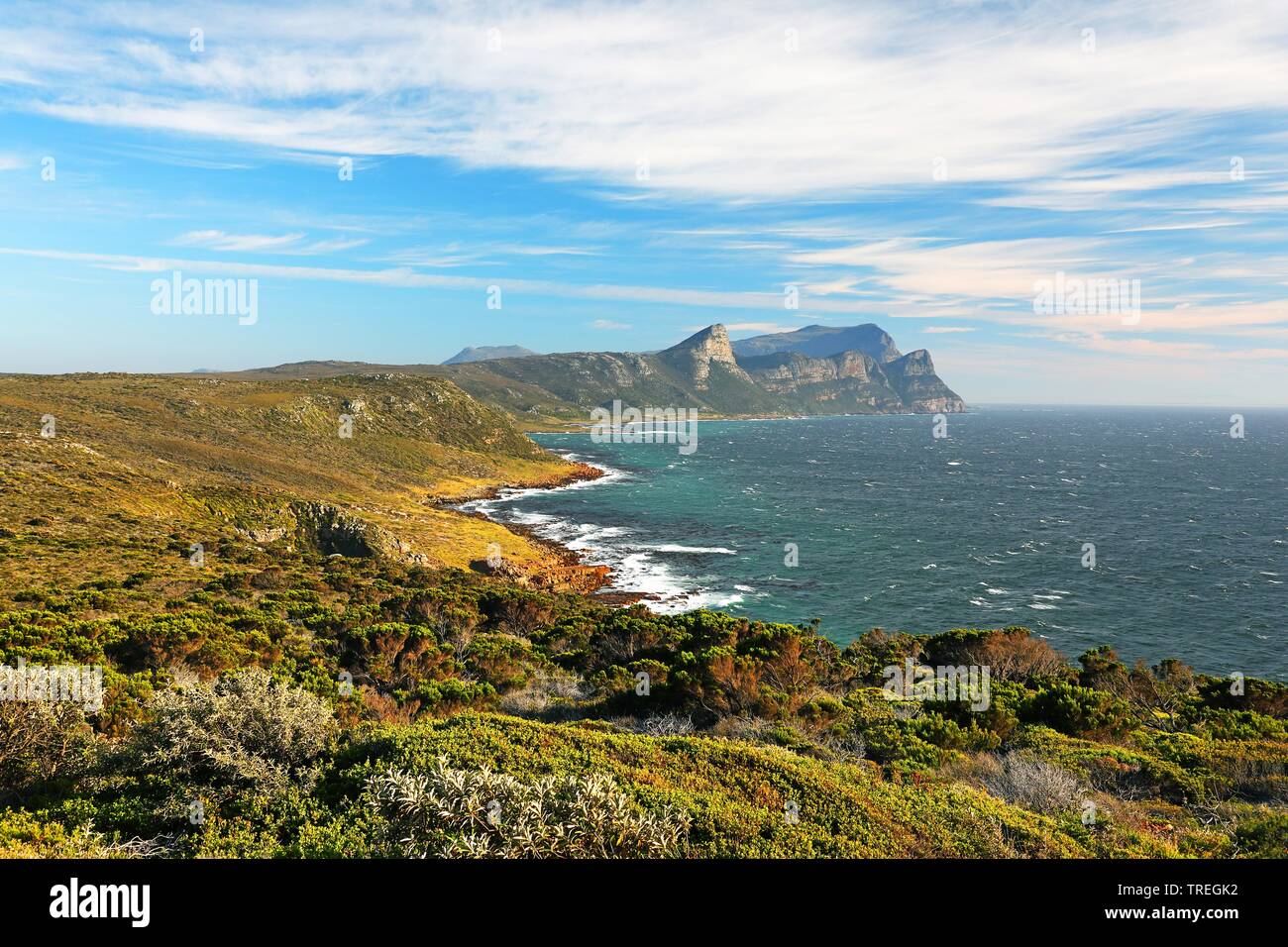 Capo di Buona Speranza, vista nord sulla costa orientale, Sud Africa Foto Stock