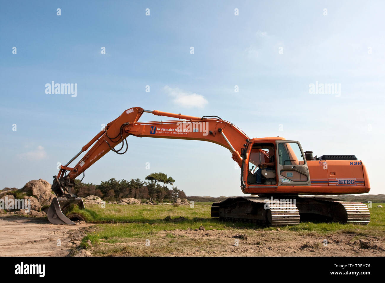 La rinaturazione di zona umida a valle di dune, Paesi Bassi, Texel Foto Stock