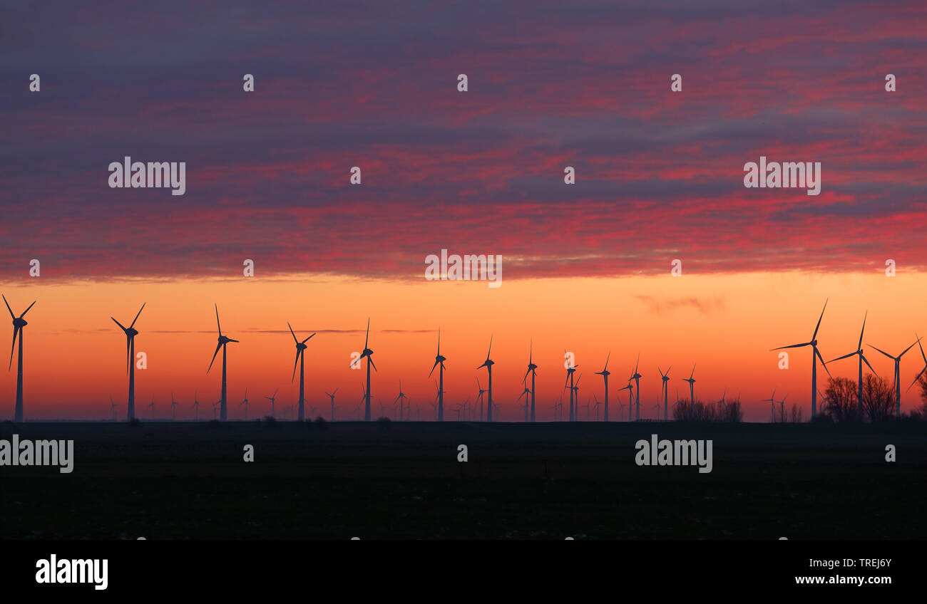 La Fram vento nella luce della sera, Paesi Bassi, Frisia, Lemmer Foto Stock