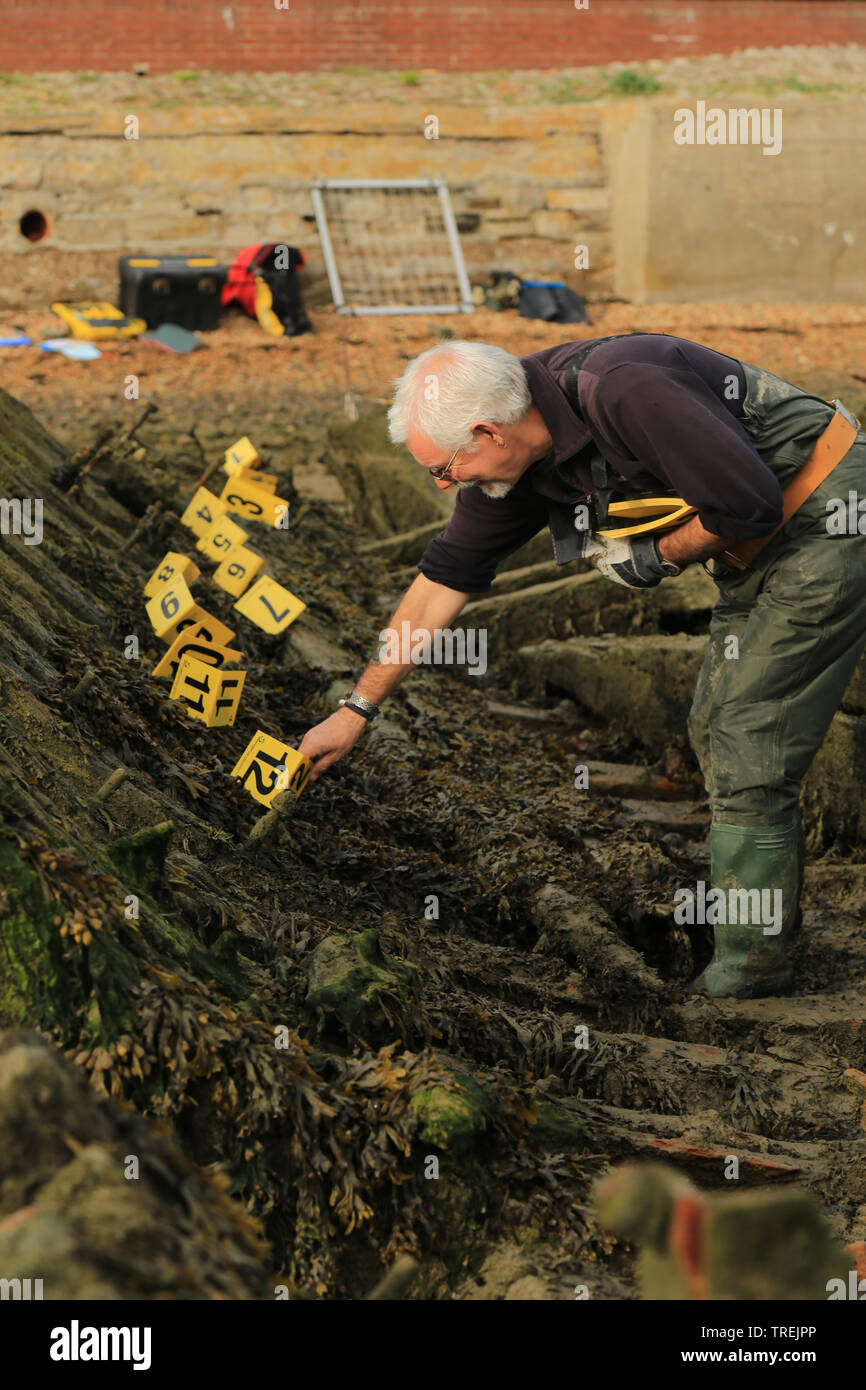 Indagine archeologica su un naufragio. Gosport, Regno Unito Foto Stock