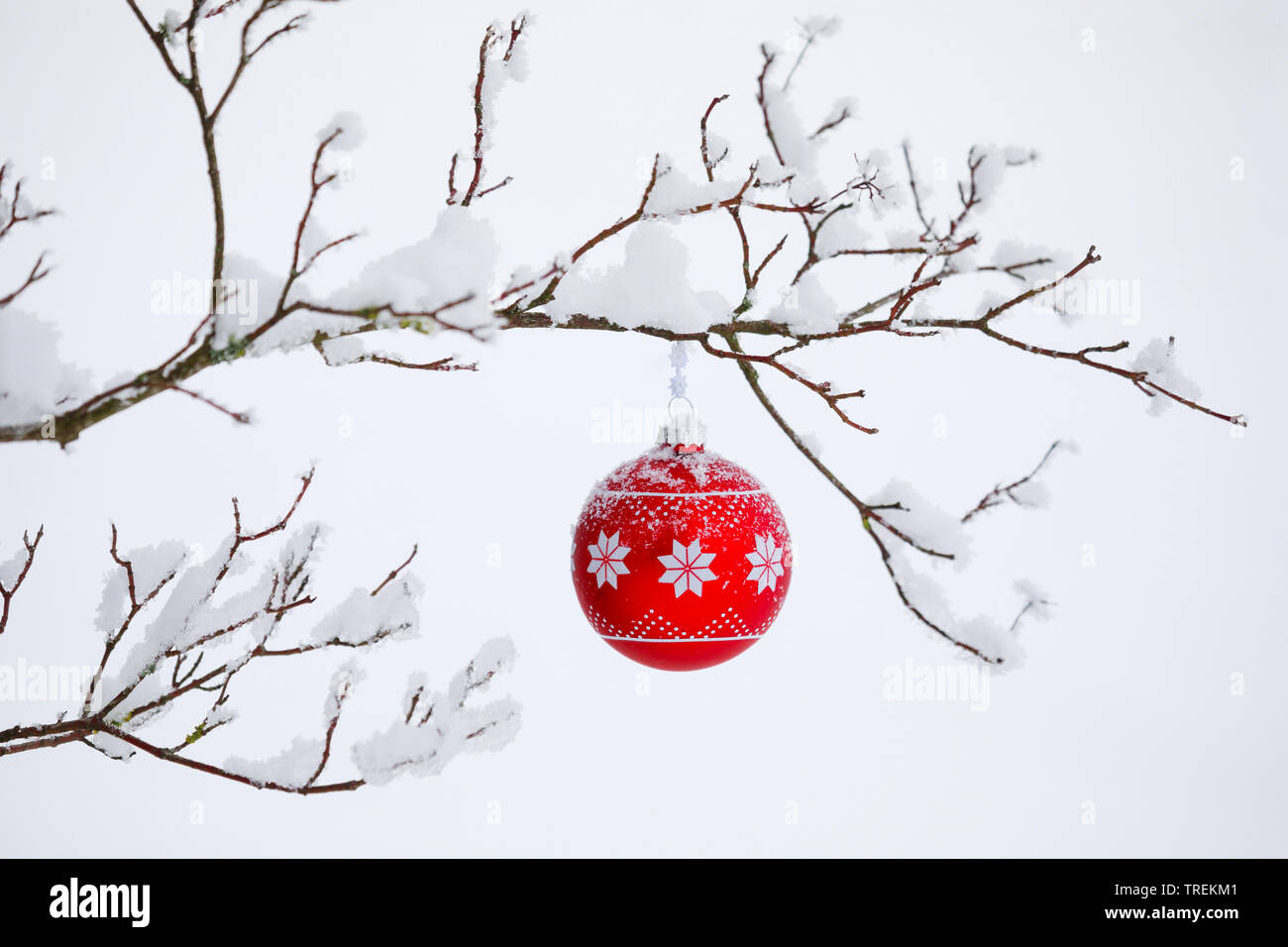 Pallina di natale a una coperta di neve ramoscello, Svizzera Foto Stock