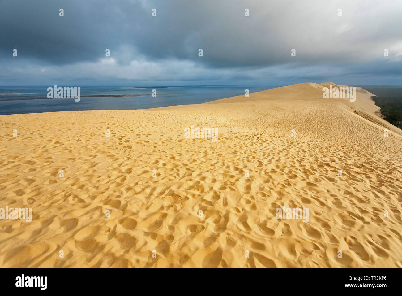 Dune di Pilat, la più alta duna di sabbia in Europa, in Francia, in Arcachon Foto Stock
