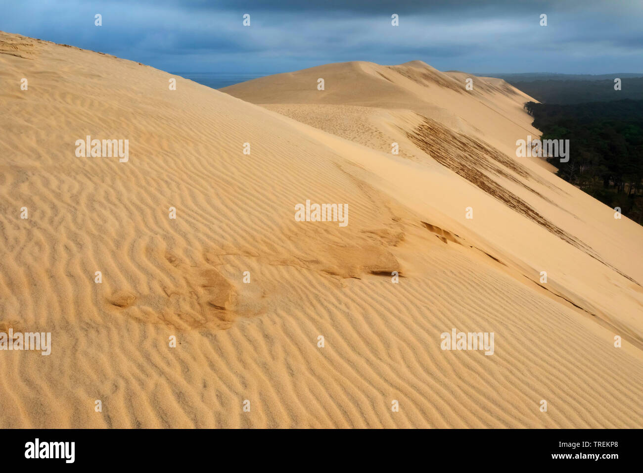 Dune di Pilat, la più alta duna di sabbia in Europa, in Francia, in Arcachon Foto Stock