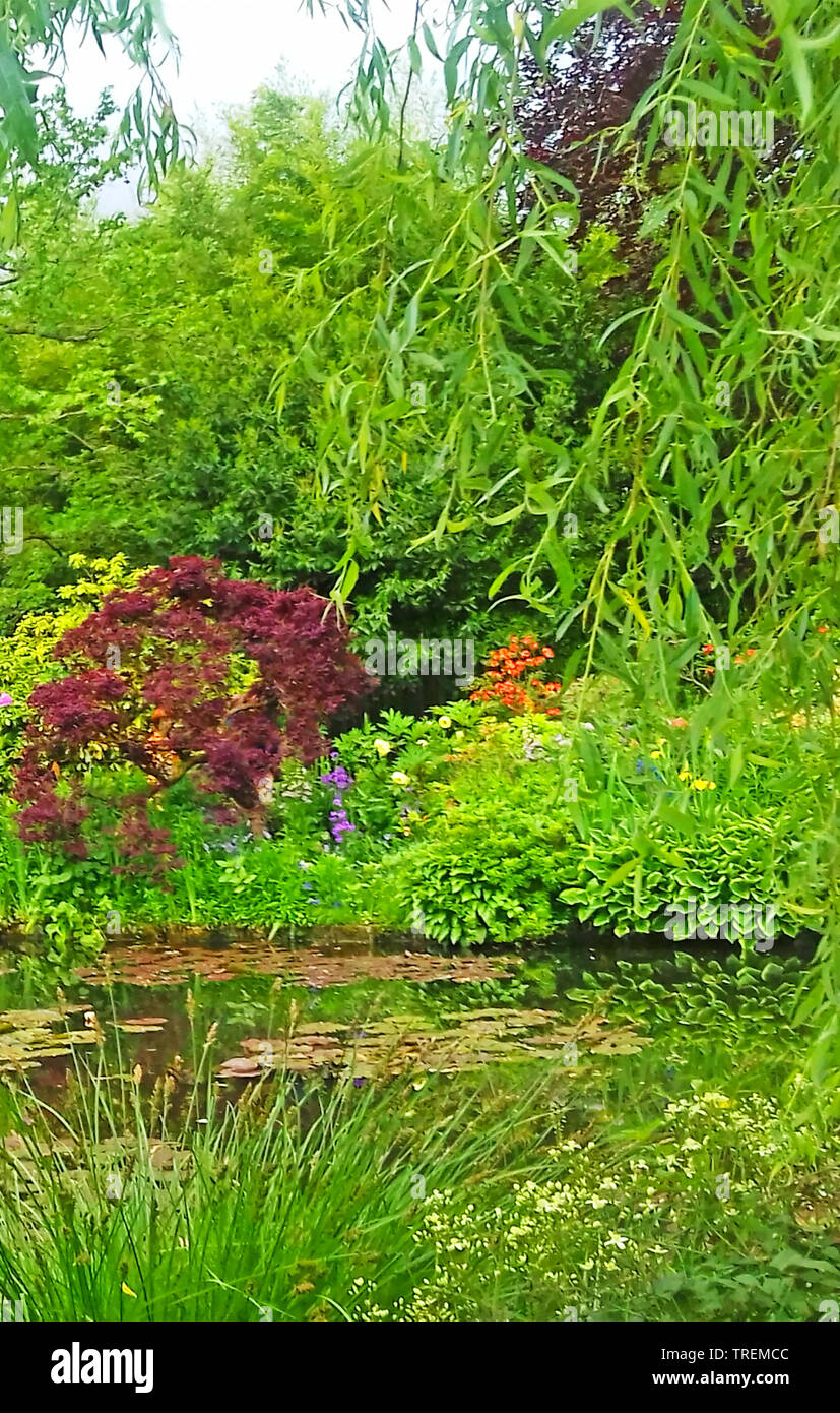 Il laghetto di ninfee, Claude Monet giardino, Giverny, Eure, Normandia, Francia Foto Stock