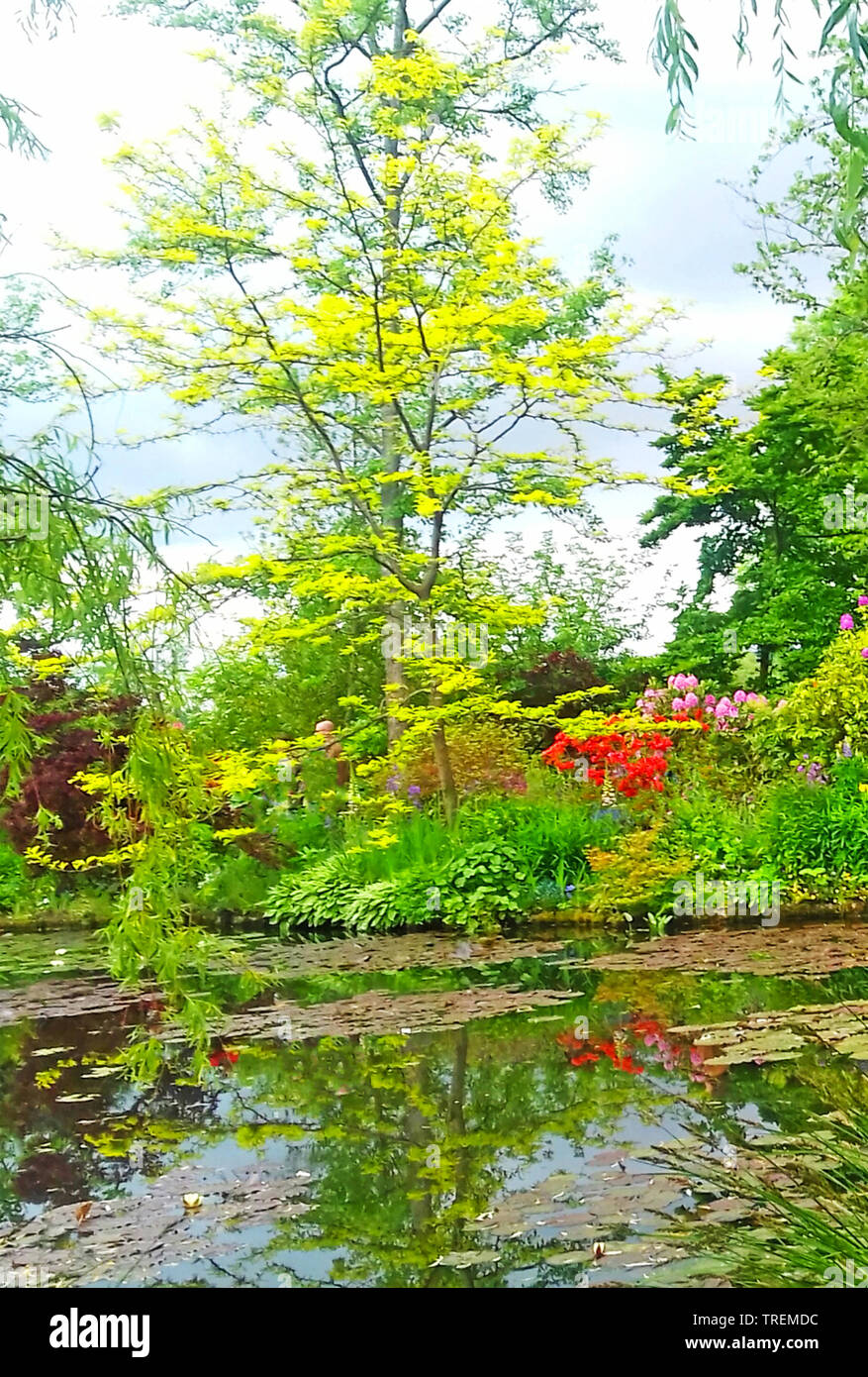 Il laghetto di ninfee, Claude Monet giardino, Giverny, Eure, Normandia, Francia Foto Stock
