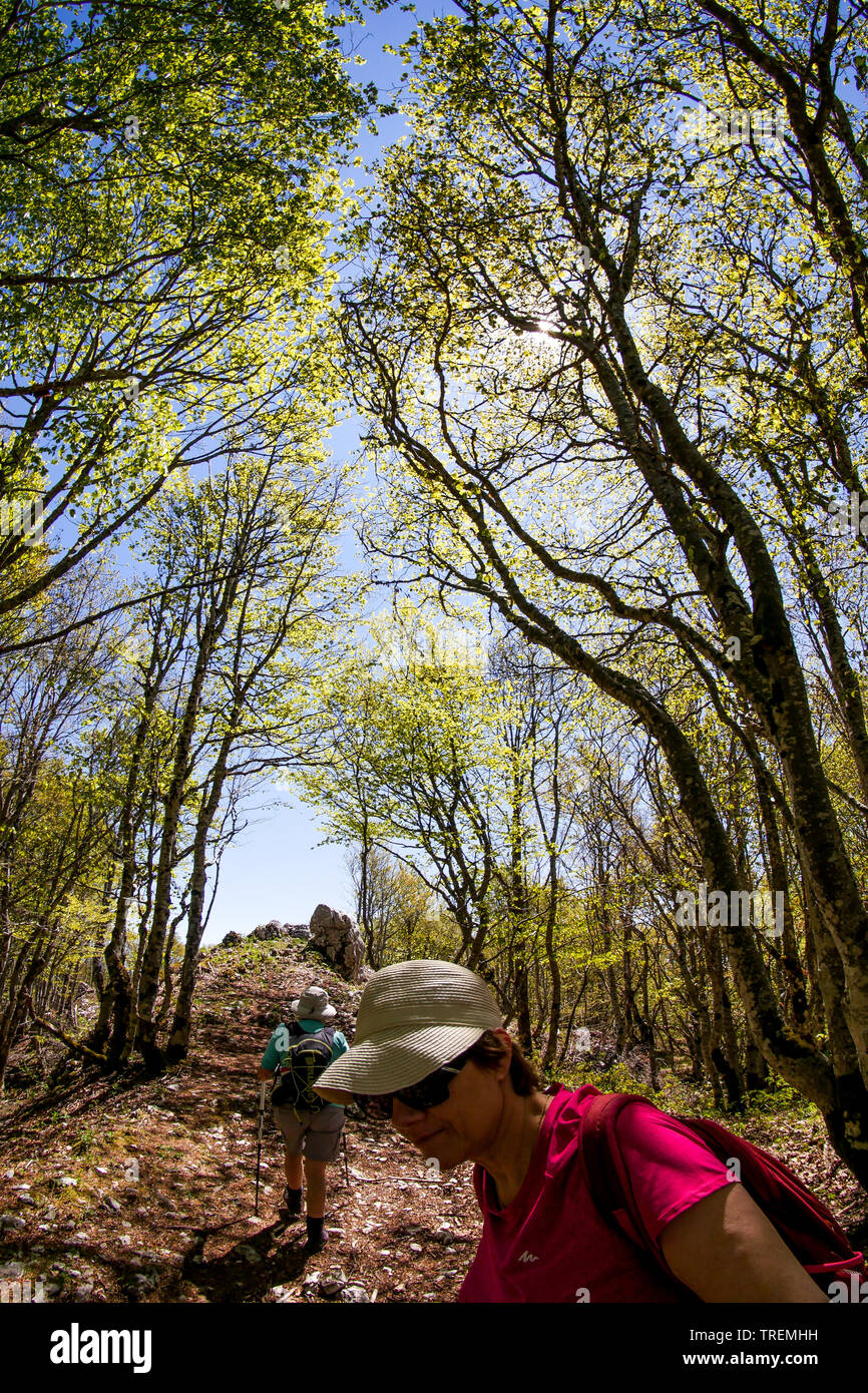 Escursioni in montagna nella foresta che copre il Plateau du Retord, ain, Francia Foto Stock