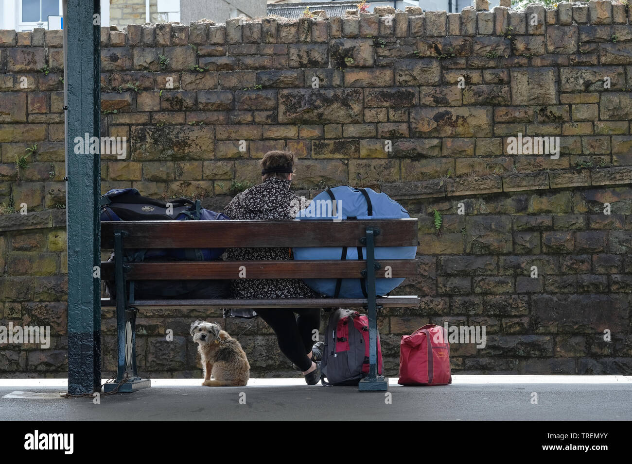 Una donna e il suo cane waiting​ su una piattaforma del treno. Foto Stock