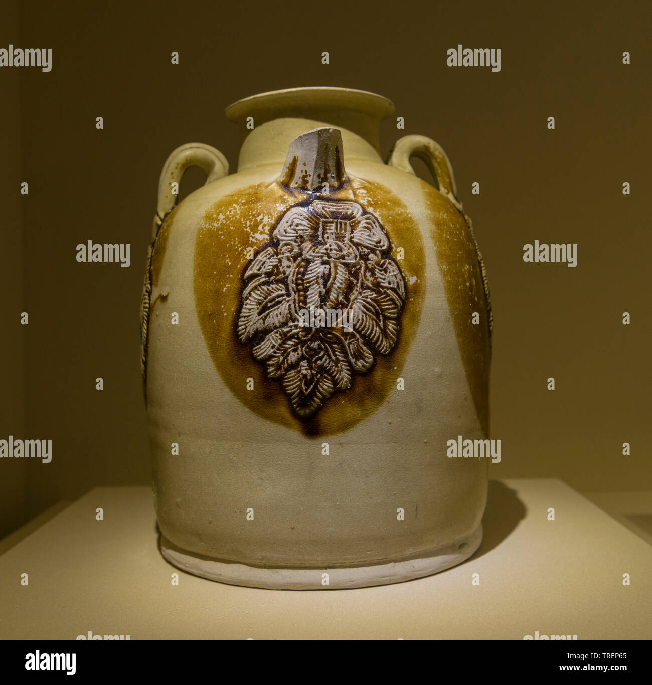 Ewer di porcellana con foglia design applicato dalla Changsha forno. La Dinastia Tang, 618-907 CE. Changsha forno ufficiale sito Ufficio di gestione. Foto Stock