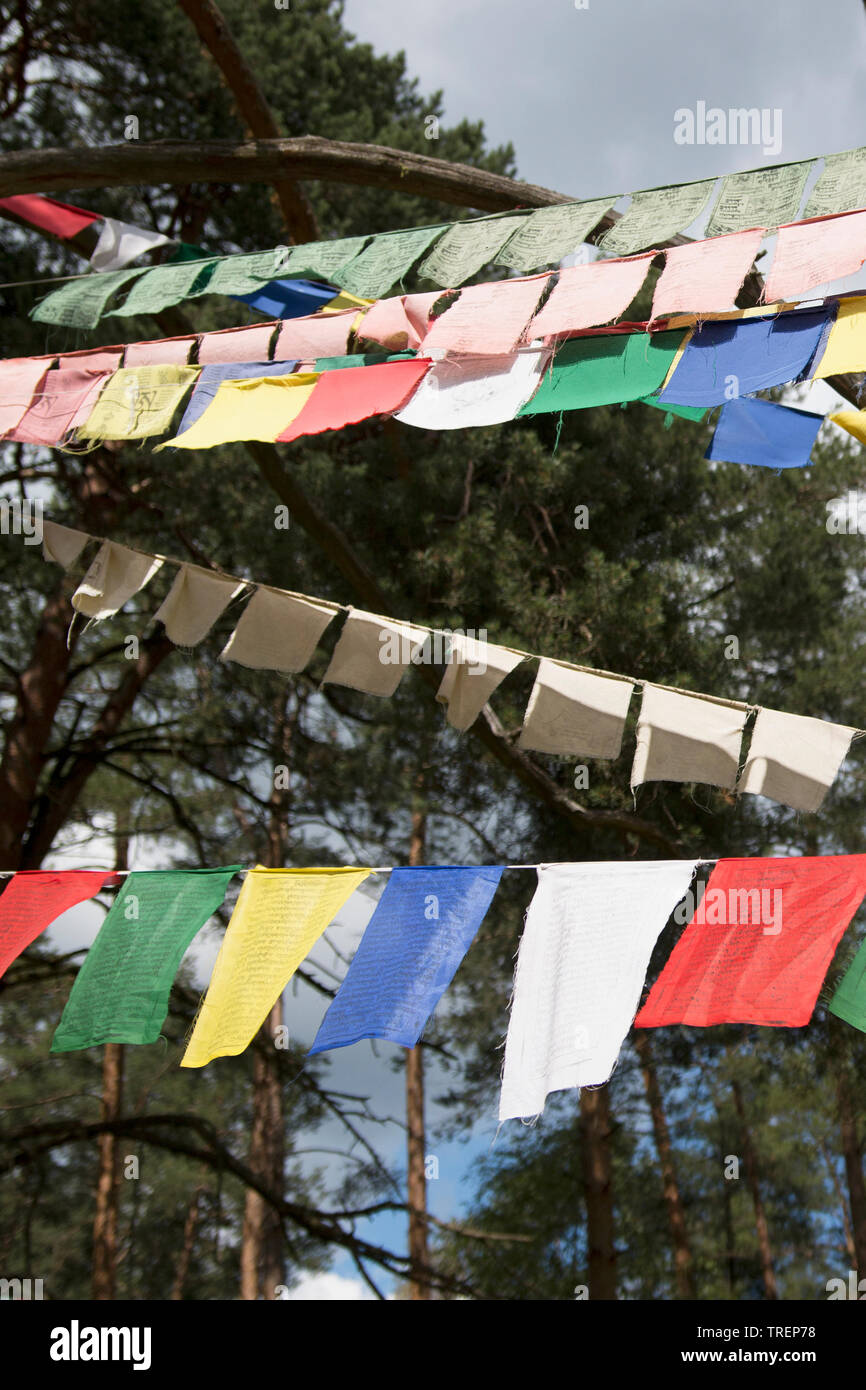 Colorati bandiere di preghiera (lungta/darcho) della filosofia buddista nel vento. Formato verticale Foto Stock
