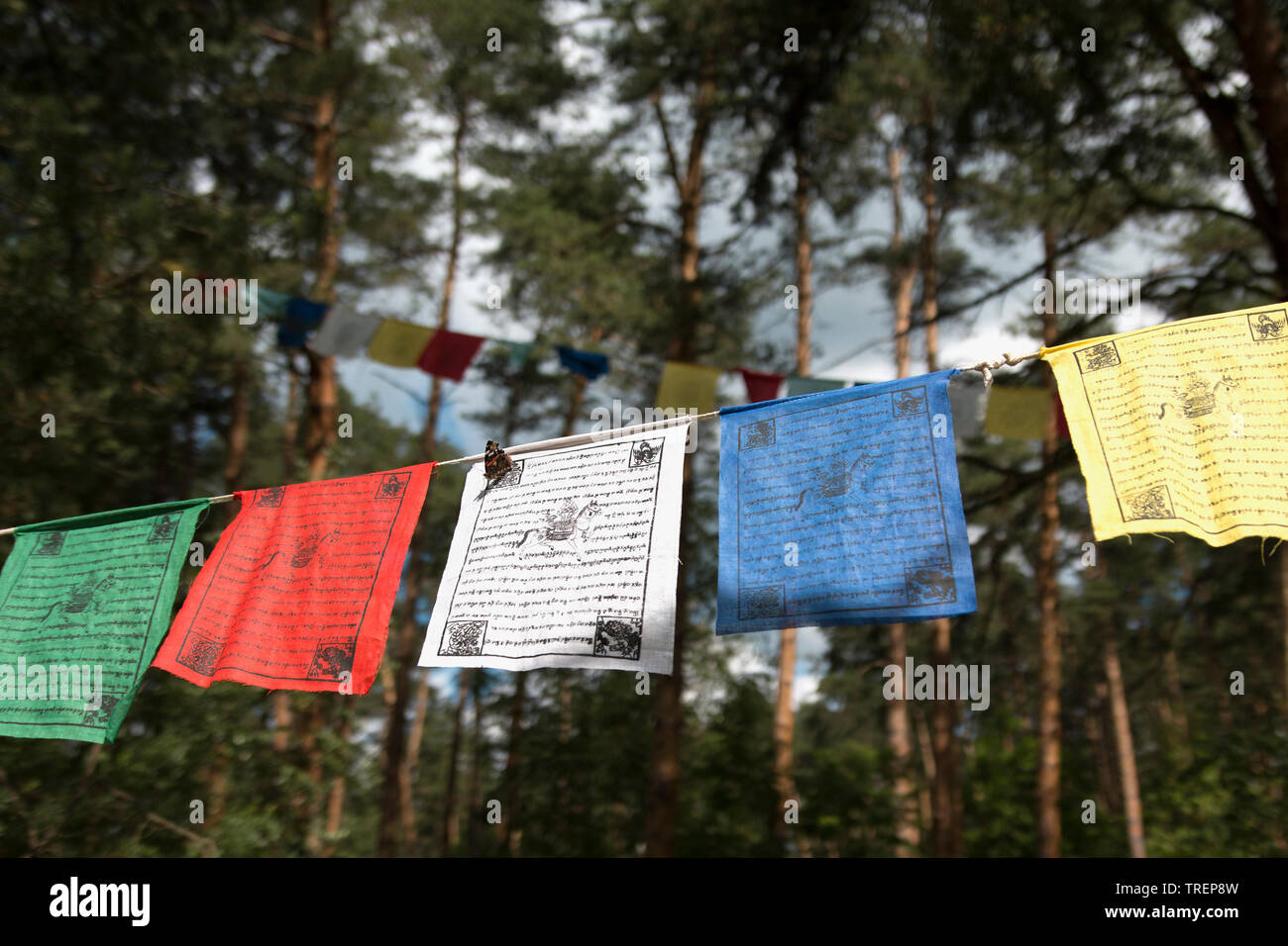 Colorati bandiere di preghiera (lungta/darcho) della filosofia buddista sulla foresta backg. Kunsangar nord, Pavlovsky Posad, Regione di Mosca / Russia - Luglio 2017 Foto Stock