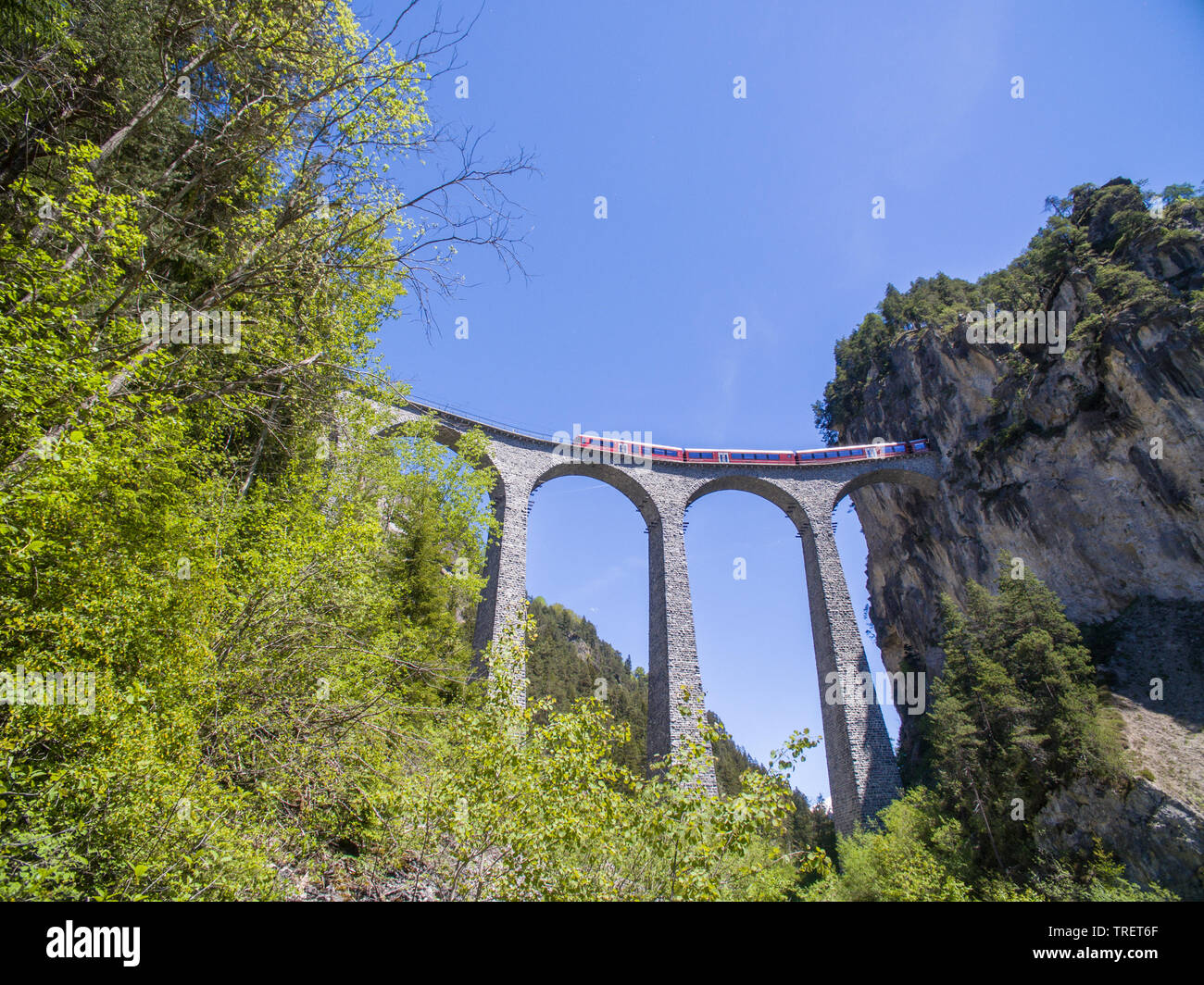 Il "Glacier Express" sul viadotto Landwasser. Alpi svizzere Foto Stock