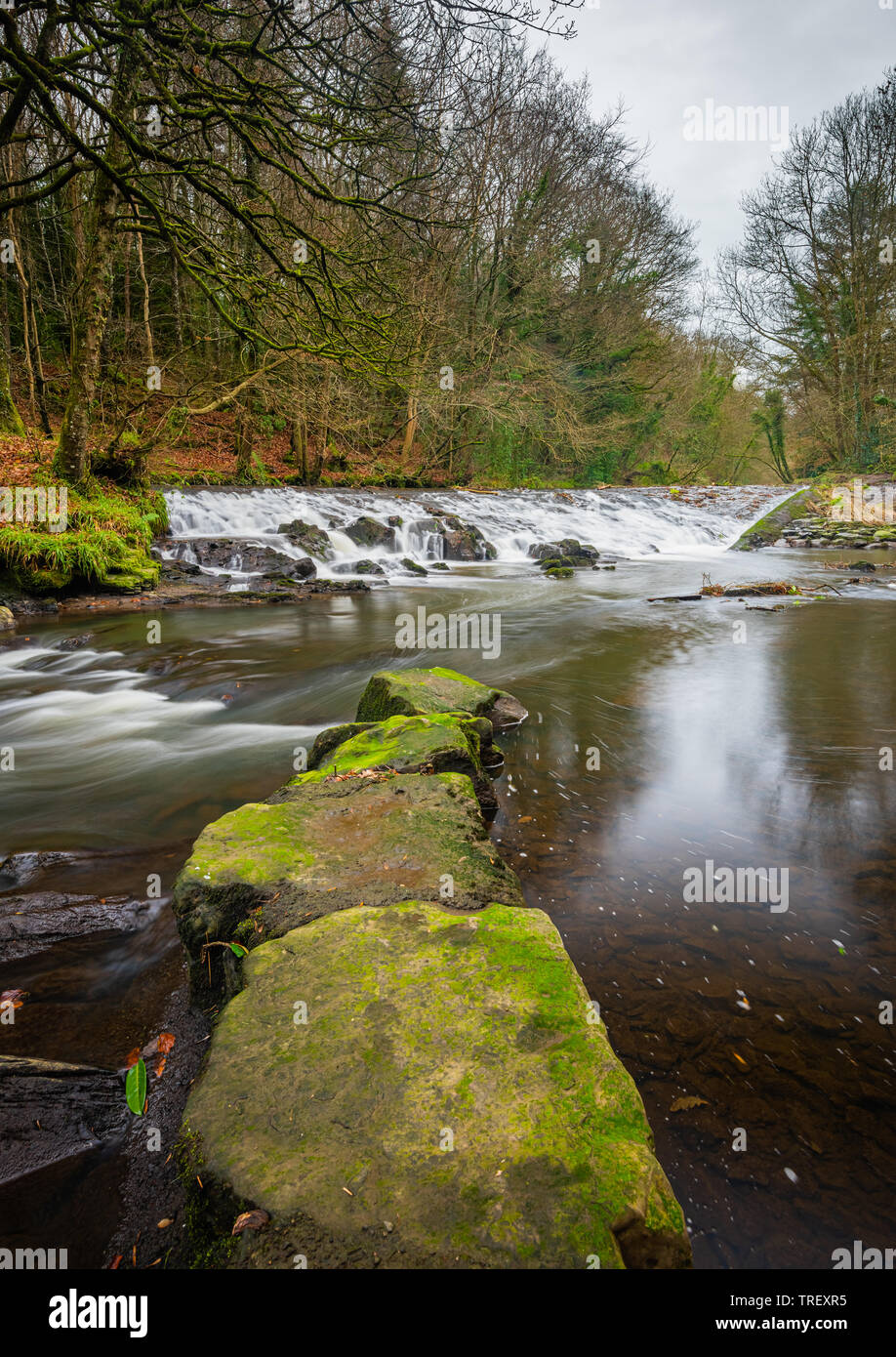 Il fiume Cusher fluente attraverso la Clare Glen, Tandragee, nella contea di Armagh, Irlanda del Nord in una fredda giornata autunnale. Foto Stock
