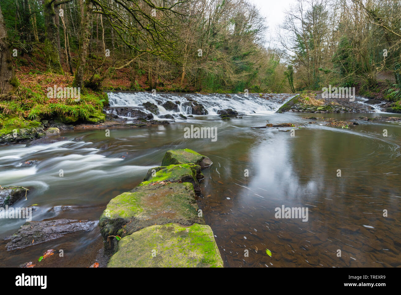 Il fiume Cusher fluente attraverso la Clare Glen, Tandragee, nella contea di Armagh, Irlanda del Nord in una fredda giornata autunnale. Foto Stock
