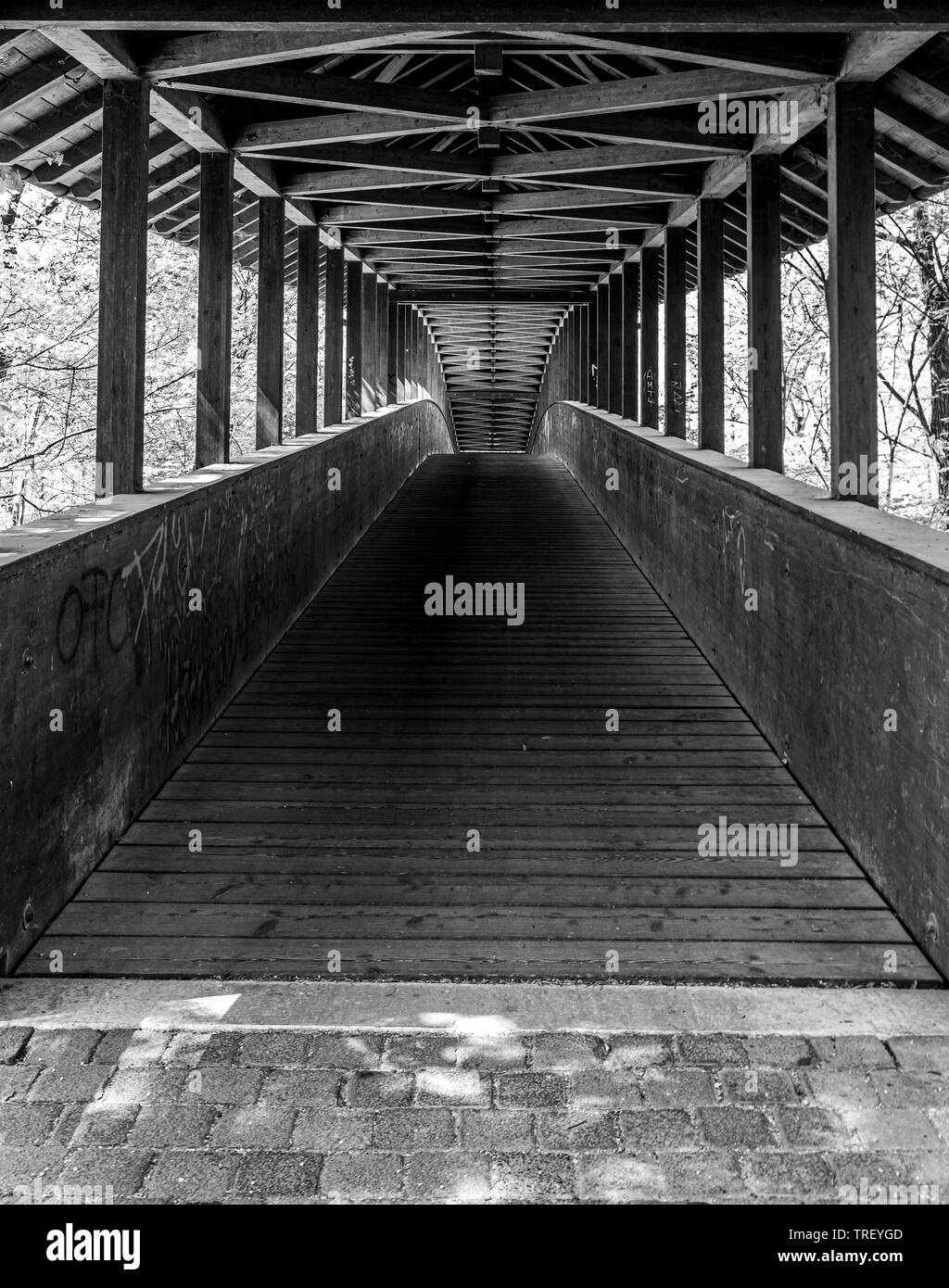 Vista attraverso un ponte di legno a Francoforte Sud foresta della città, Hesse, Germania Foto Stock