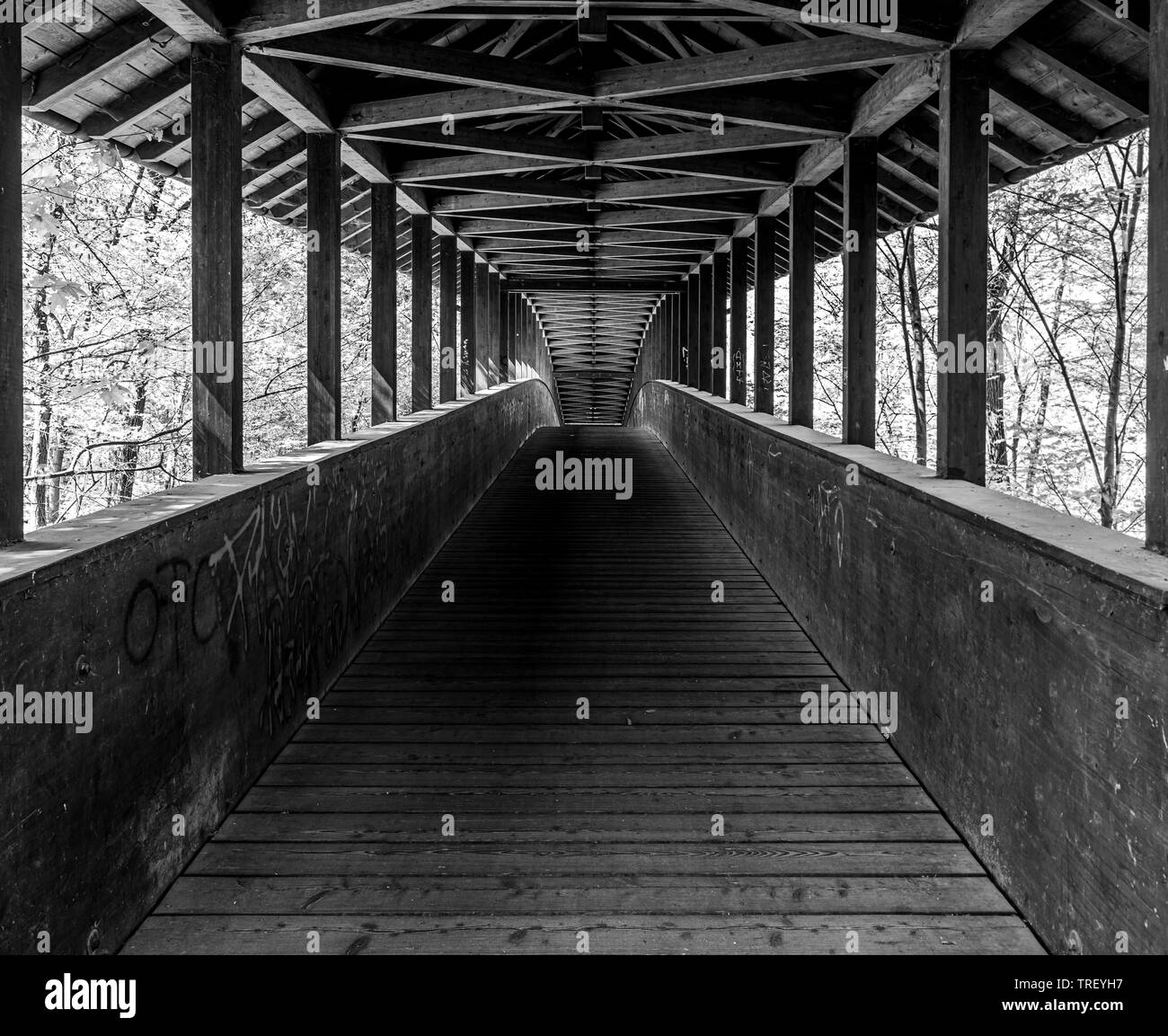 Vista attraverso un ponte di legno a Francoforte Sud foresta della città, Hesse, Germania Foto Stock