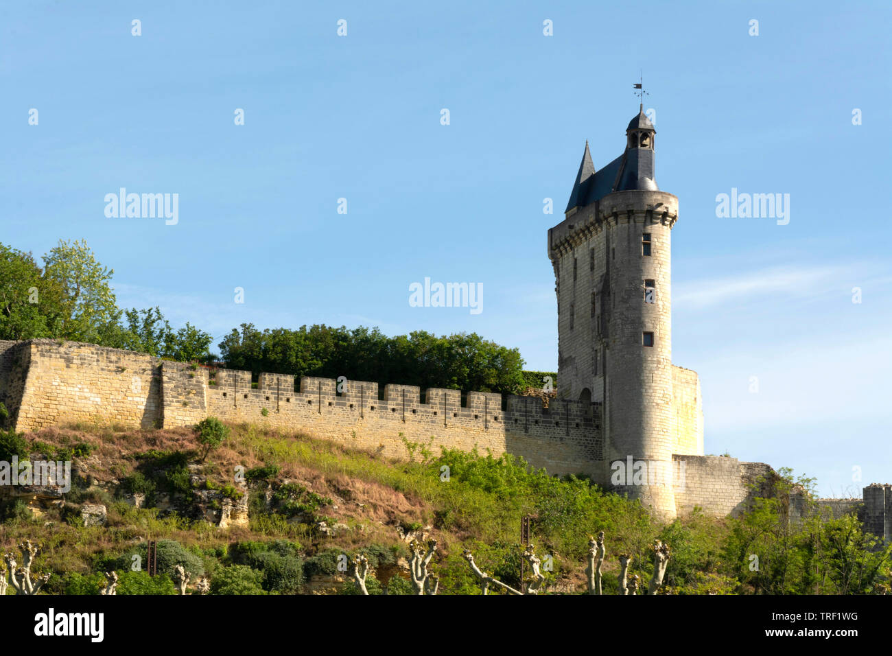 La fortezza reale di Chinon, Indre et Loire department, centro Val de Loire, Francia, Europa Foto Stock