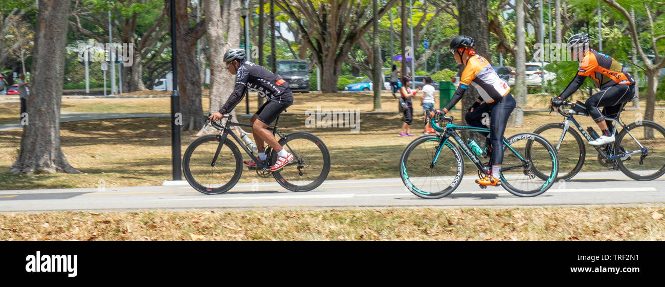 I ciclisti in sella bici da corsa lungo la East Coast Park di Singapore. Foto Stock
