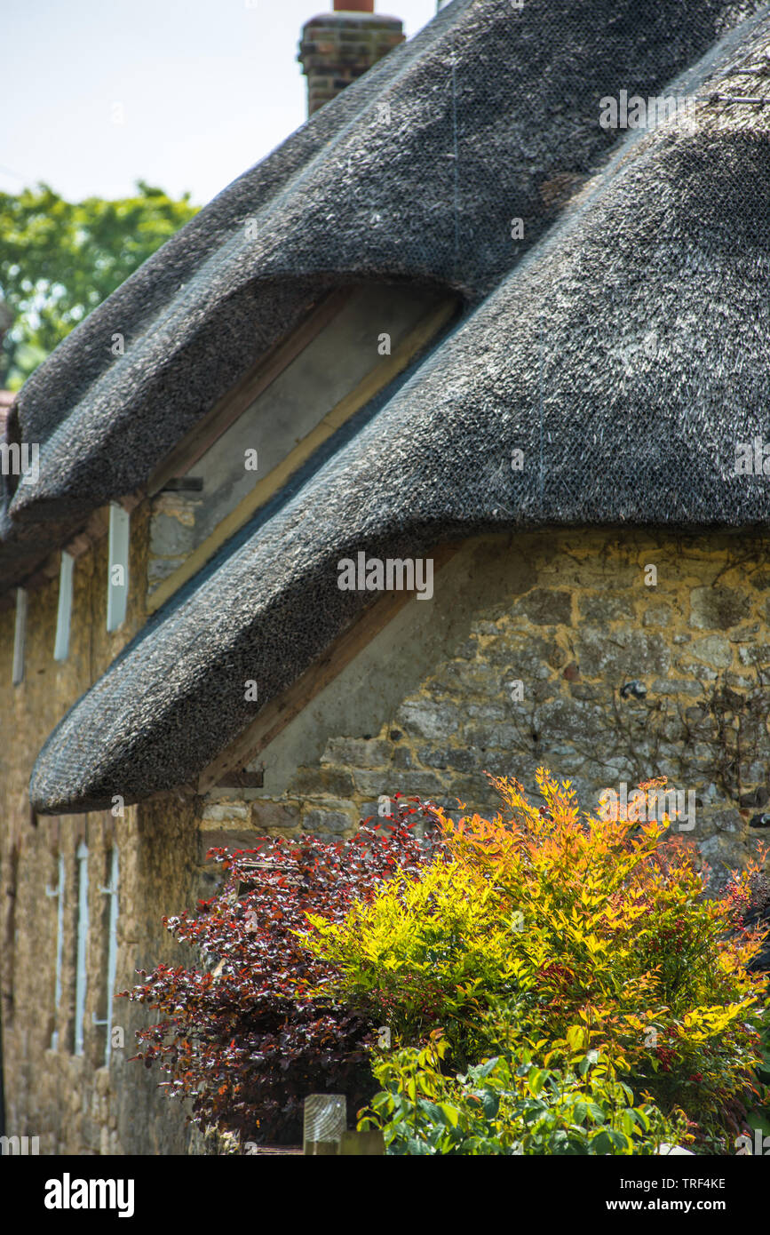 Caratteristico e cottage con il tetto di paglia nel villaggio di West Lulworth, Dorset, Inghilterra. Regno Unito. Foto Stock