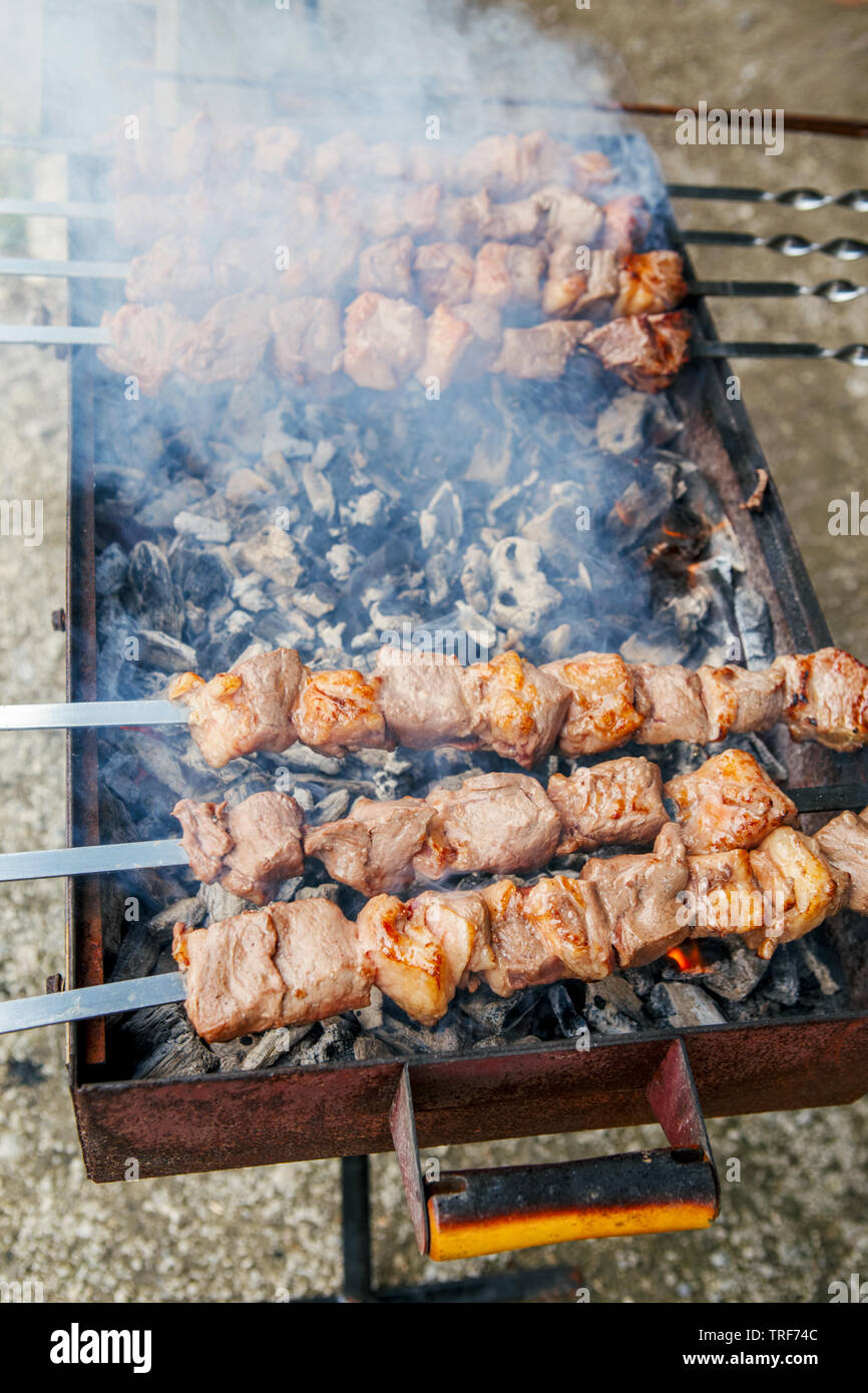 ideali per shish kebab pollo Goysen in acciaio inox gamberetti e verdure resistenti e riutilizzabili con manico ad anello antiscivolo Set di 10 spiedini Kabob per barbecue e barbecue 