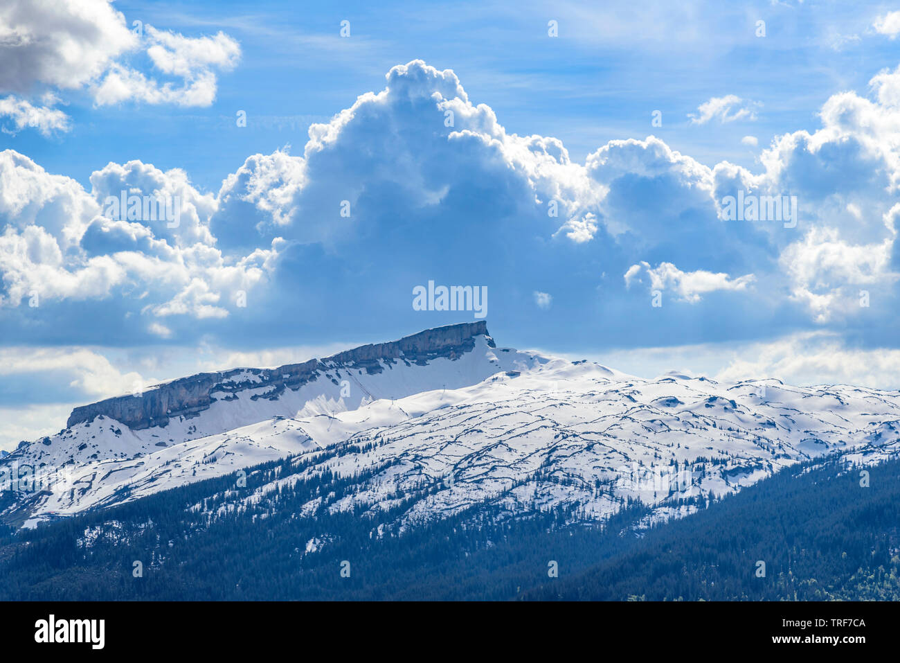 Vista impressionante vetta del monte chiamato Hoher Ifen con la particolarità geologiche, la Gottesacker plateau Foto Stock