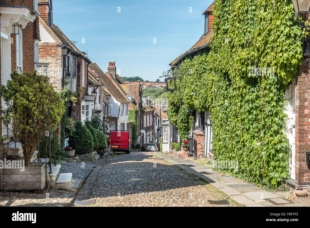 La segala nella contea di Sussex Foto Stock