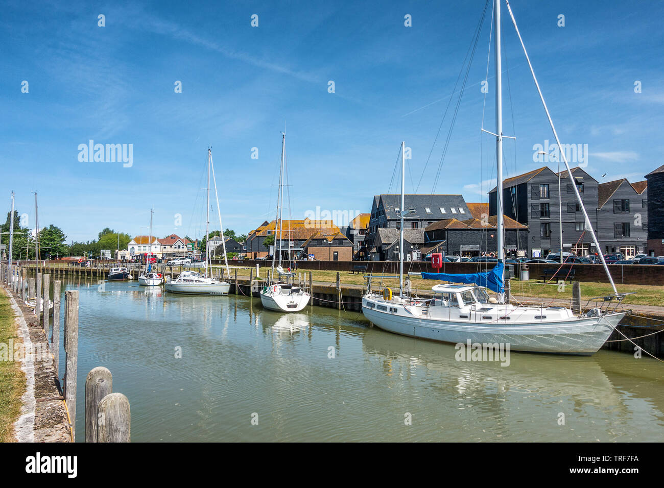 La segala nella contea di Sussex Foto Stock