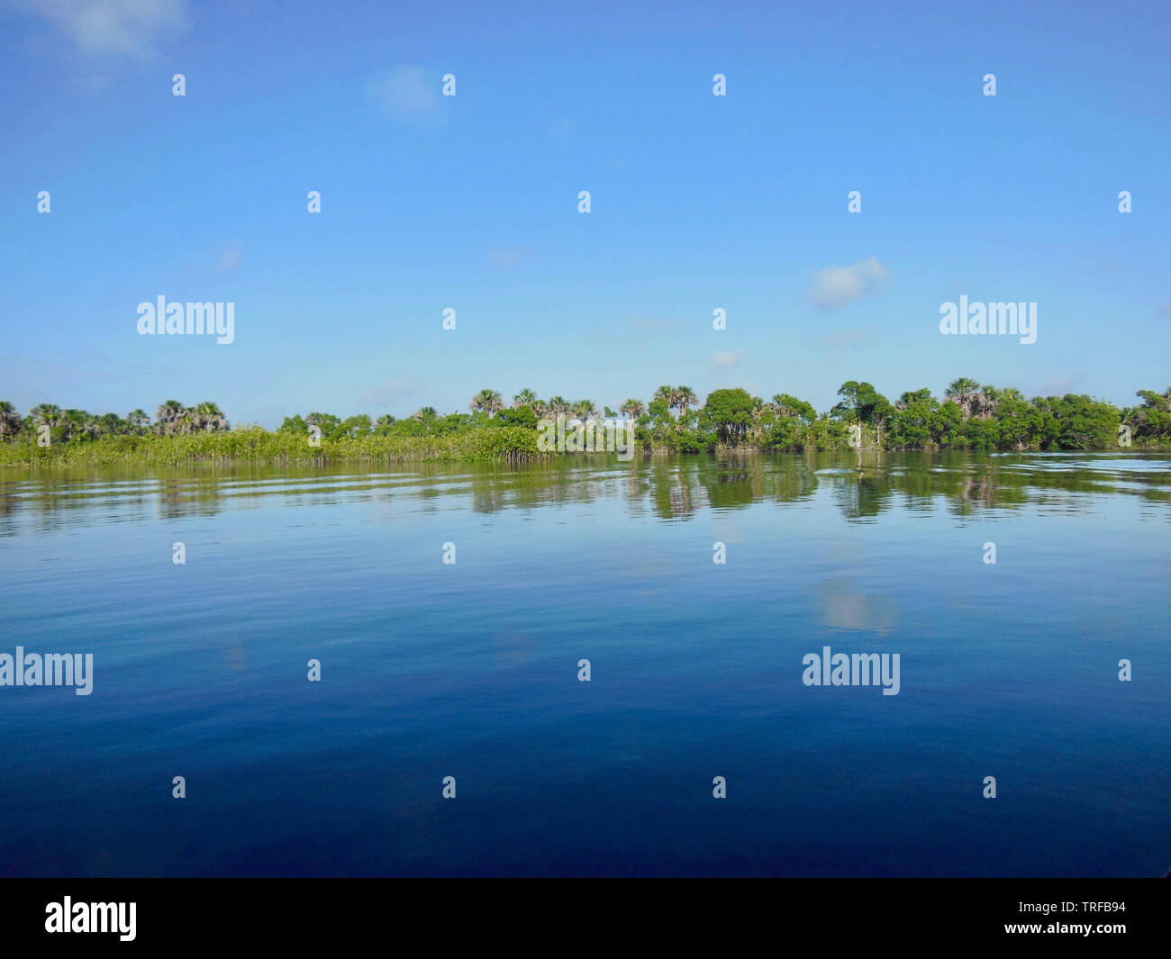 Riflessioni sull'acqua. Fiume brasiliano. Foto Stock