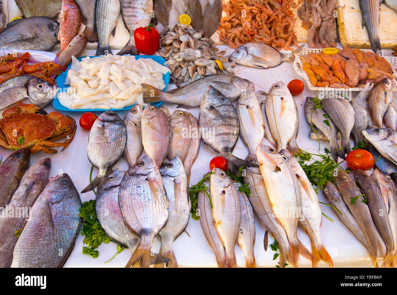 Vero e proprio mercato del pesce e a base di pesce fresco e frutti di mare oceano Atlantico in Marocco Foto Stock