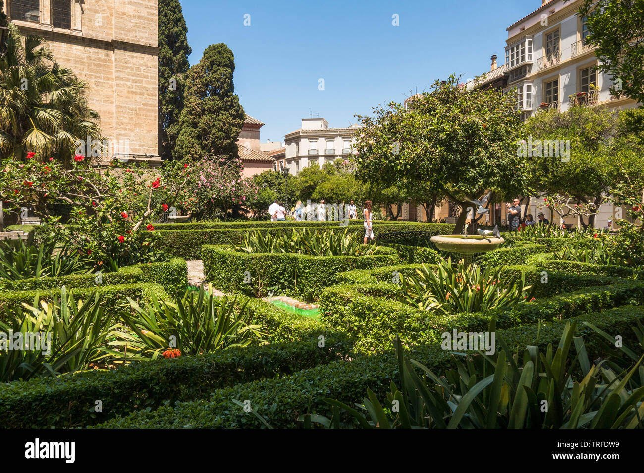 Il Giardino di Cister Street della Cattedrale di Malaga. Andalusia, Spagna. Foto Stock