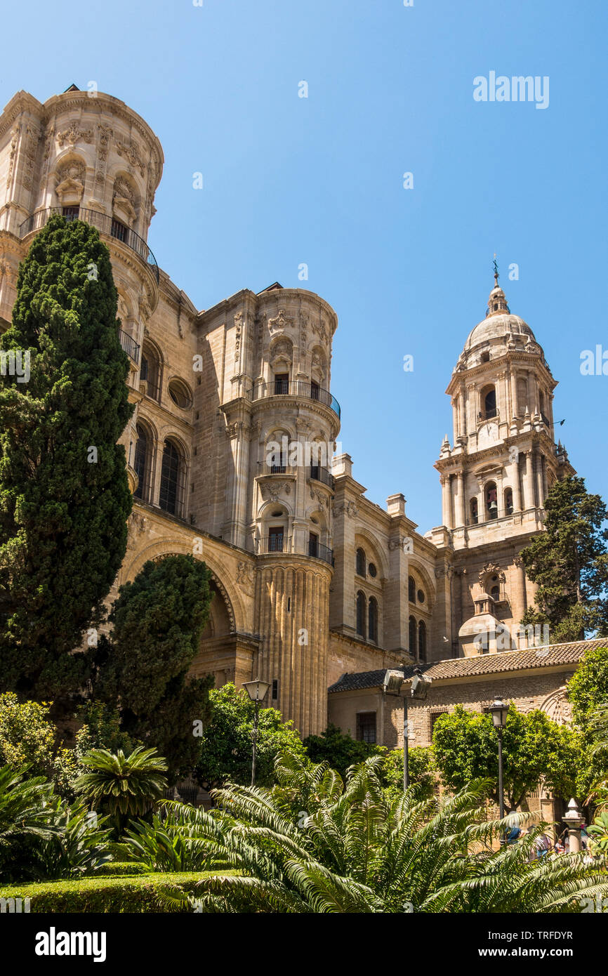 Cattedrale di Malaga, vista laterale, Malaga, Andalusia. Foto Stock