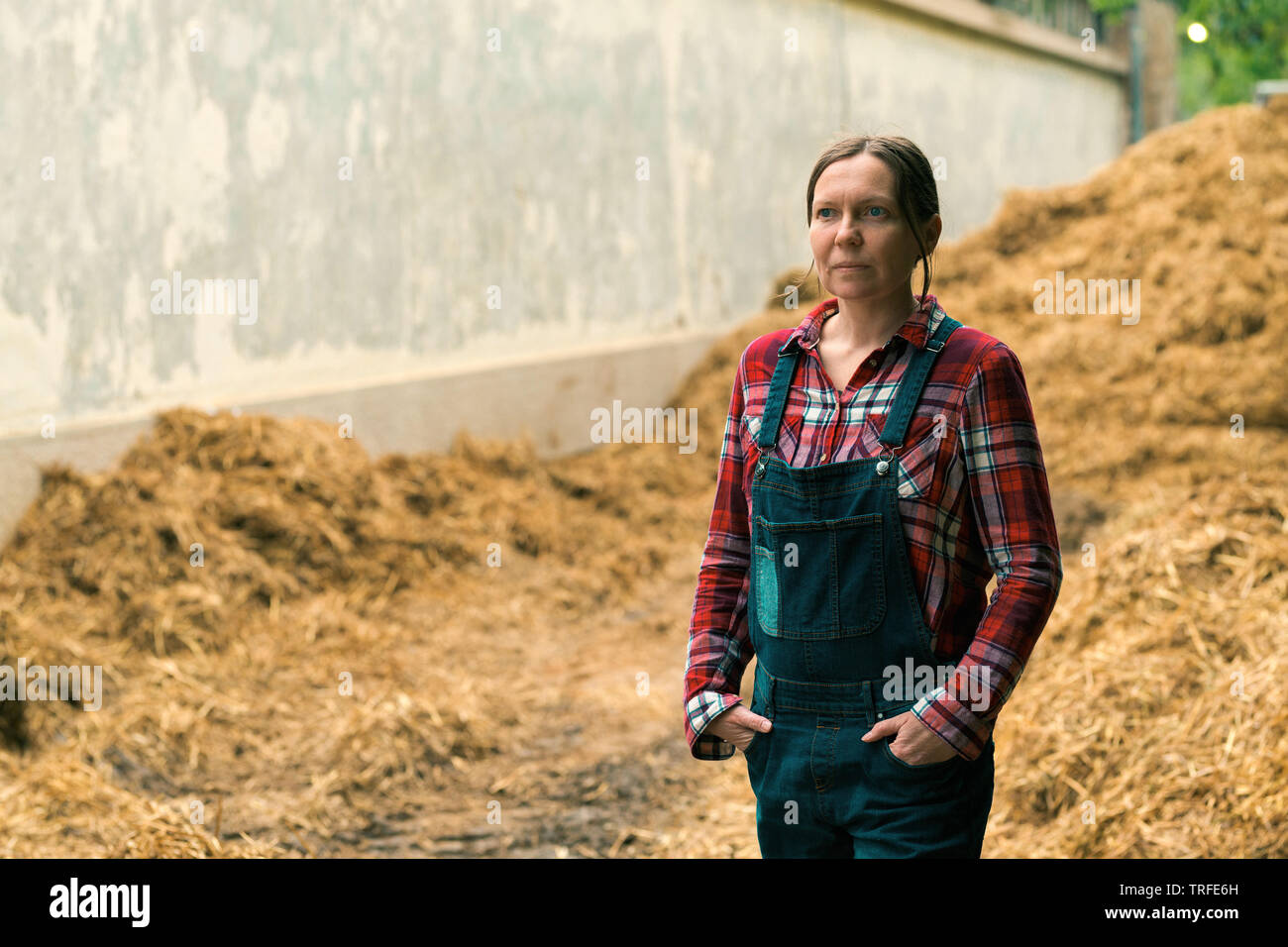 L'agricoltore femmina in piedi nella parte anteriore del cavallo mucchio di letame sull'allevamento di bestiame Foto Stock
