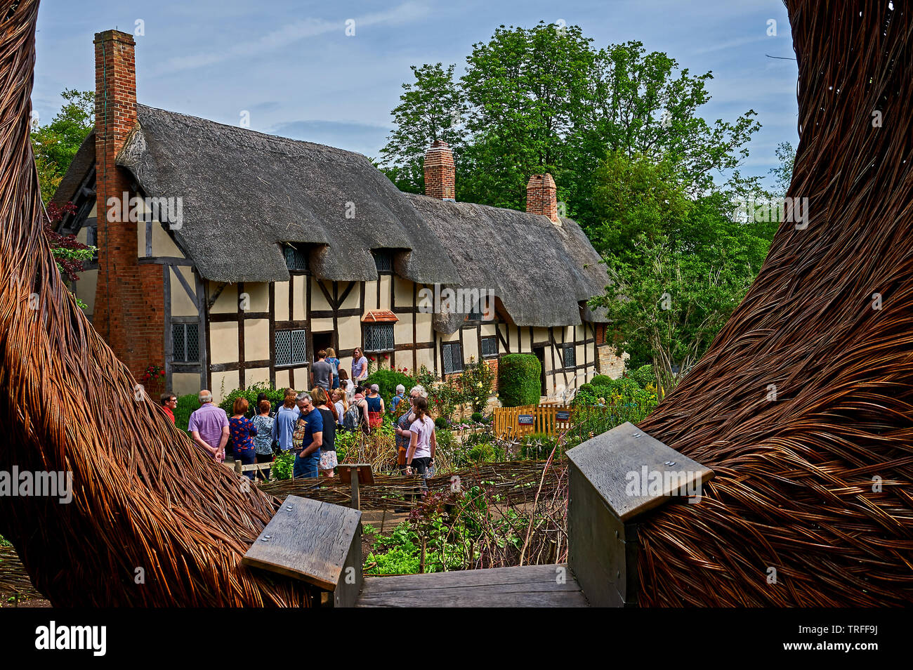 Anne Hathaway's Cottage in Shottery, Stratford upon Avon, è una metà medievali edificio con travi di legno e casa di William Shakespeare la moglie. Foto Stock