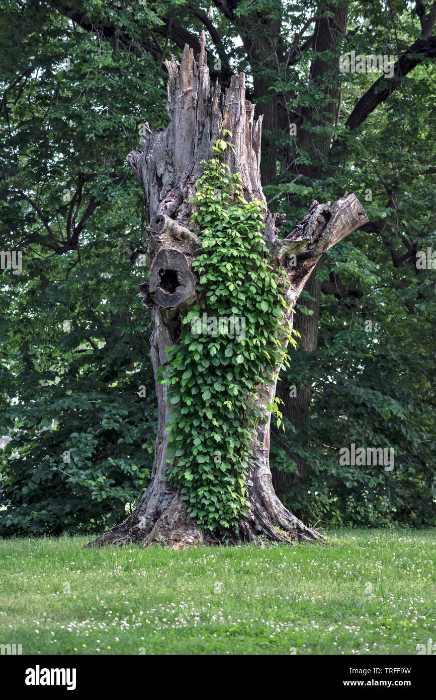 Philadelpfia, PA, Stati Uniti d'America Foto Stock
