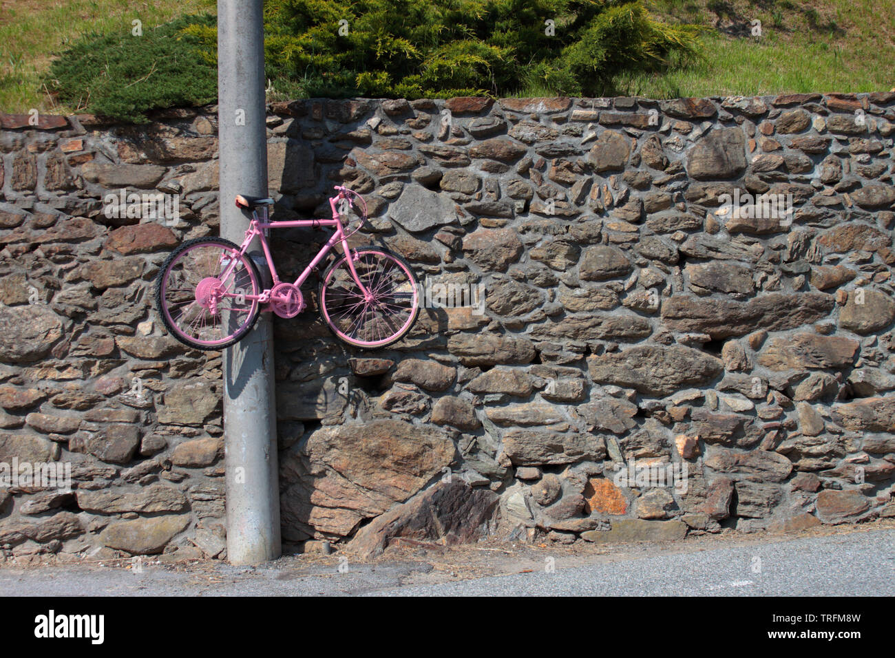 Effetto ottico per una cortina bici rosa che sembra correre su una strada di pietra, per appassionati di ciclismo Foto Stock