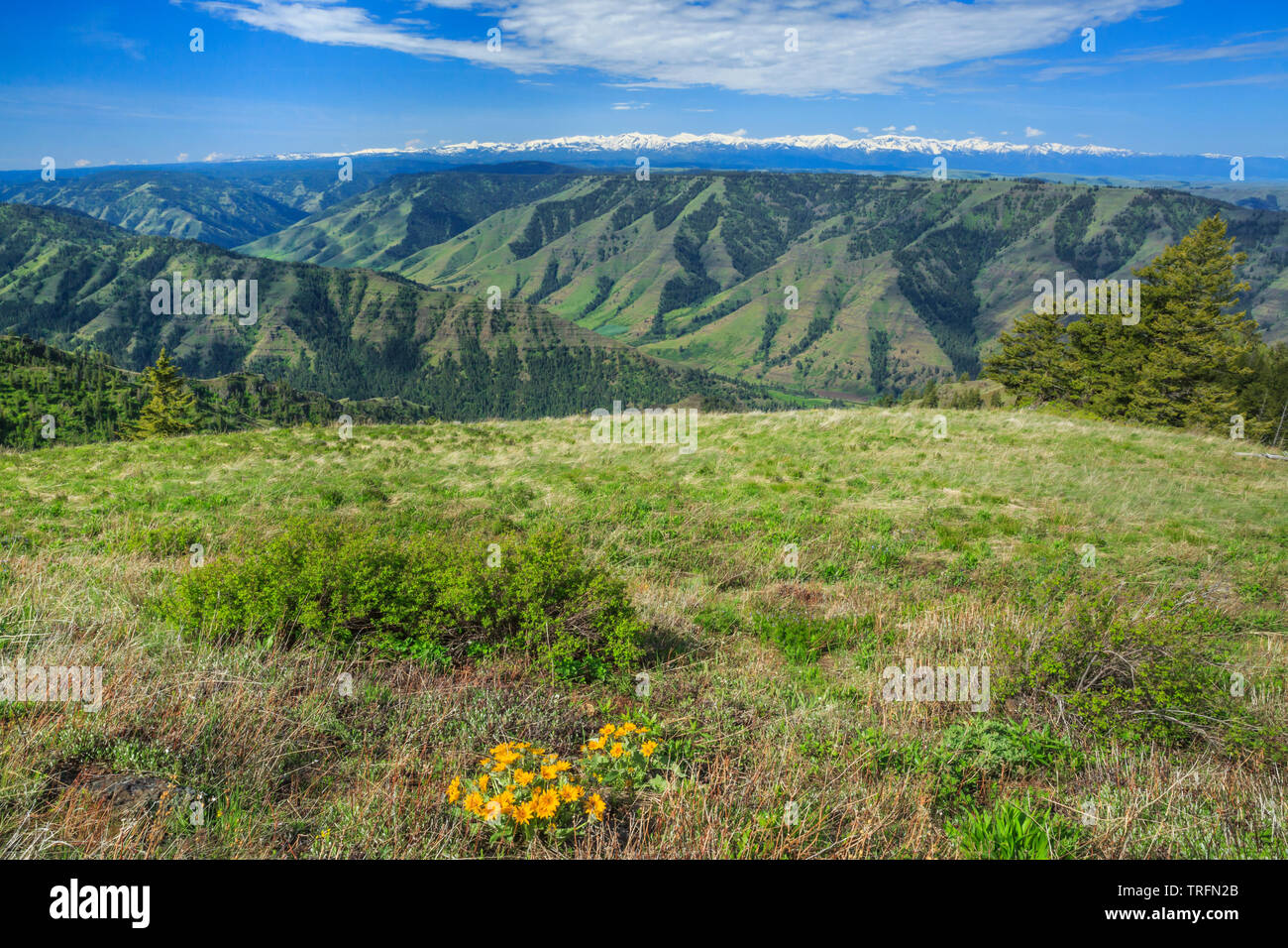 Imnaha valle wallowa e montagne in distanza visto da hat point road vicino a imnaha, Oregon Foto Stock