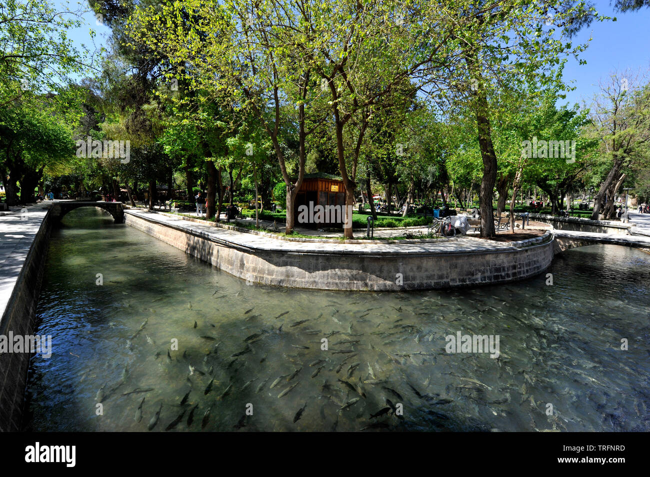 Balikligol, Sanliurfa, Turchia Foto Stock