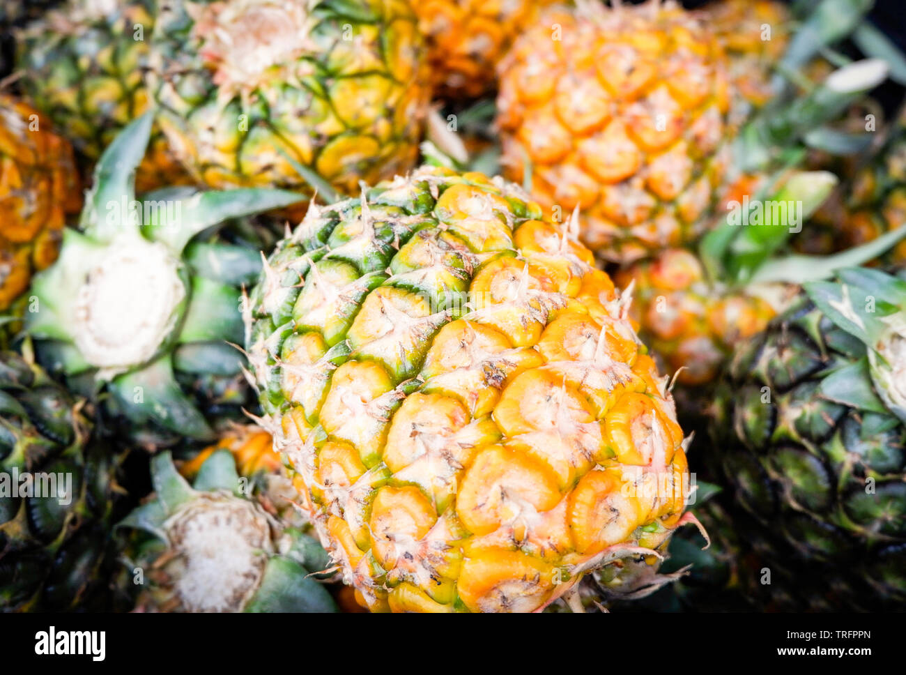 Ananas fresco estate sfondo texture raccolto dal giardino di ananas frutta tropicali per la vendita nel mercato Foto Stock