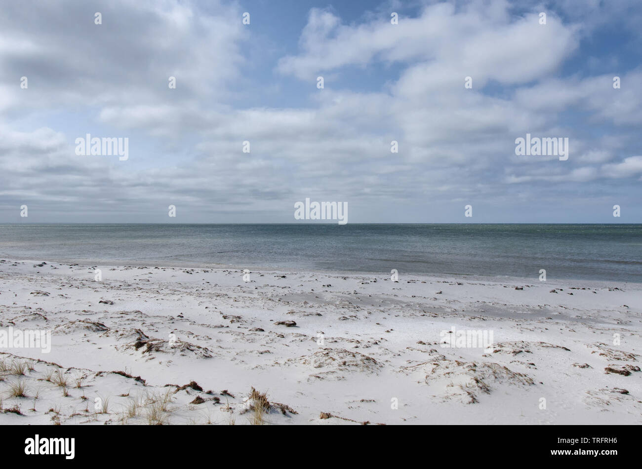 Spiaggia di sabbia sulla costa del Mar Baltico sotto il cielo nuvoloso Foto Stock