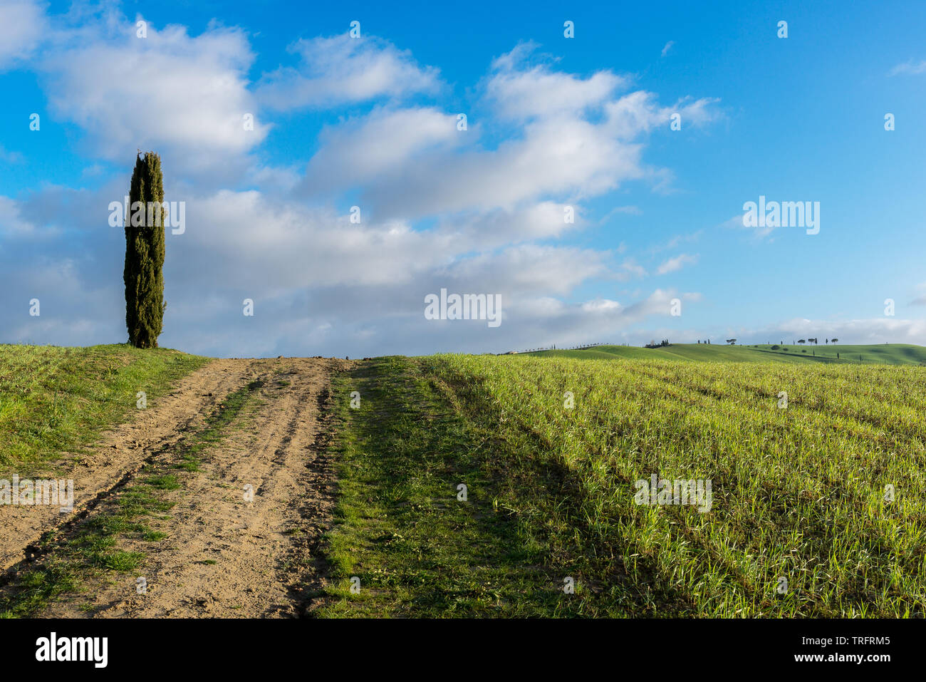 Paesaggio toscano in primavera, Val d'Orcia, Italia Foto Stock