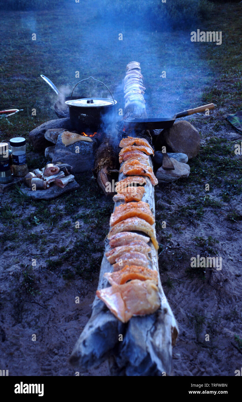 Un registro pieno di lago di filetti di trota, Salvelinus namaycush, pronti per essere fritti in padella oltre il falò in campo accanto al fiume Thelon nei territori del nord-ovest, Canada. Agosto, 2001. Foto Stock